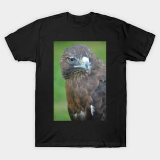 Steely Eye Stare T-Shirt